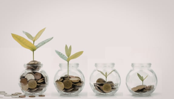Coins growing into plants symbolizing business growth, reinvestment, and the changing movement of money as companies scale.