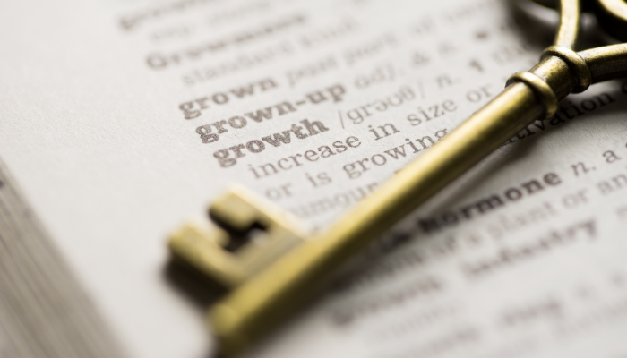 Invoice Factoring as Key to Successful Growth