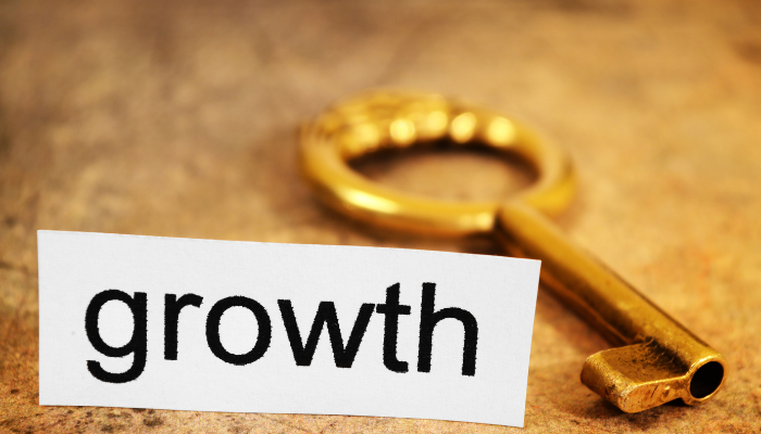 Thinking Like Your Customer_ The Key to Growth